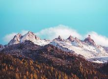 湖人关键时刻13连胜！41岁詹姆斯30+8+8无人能敌|勒布朗·詹姆斯|季后赛|微博|洛杉矶湖人队|勒布朗-詹姆斯_新浪体育_新浪新闻